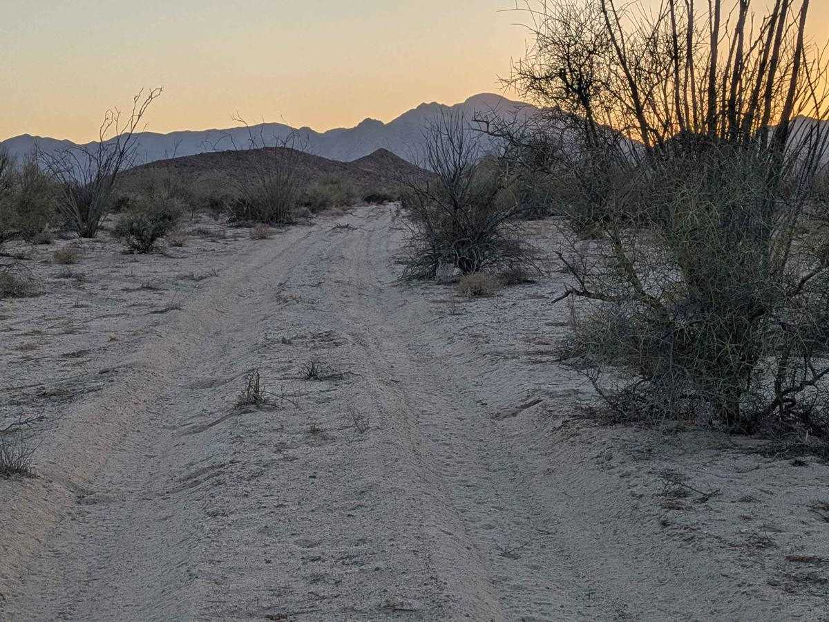 Subida Ocotillo photo 5