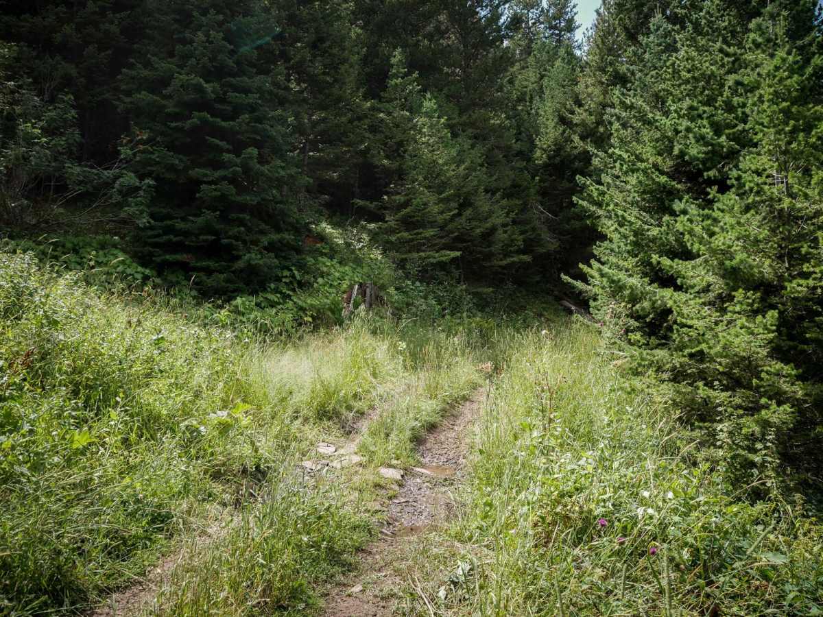 Willow Creek North Spur ATV photo 6
