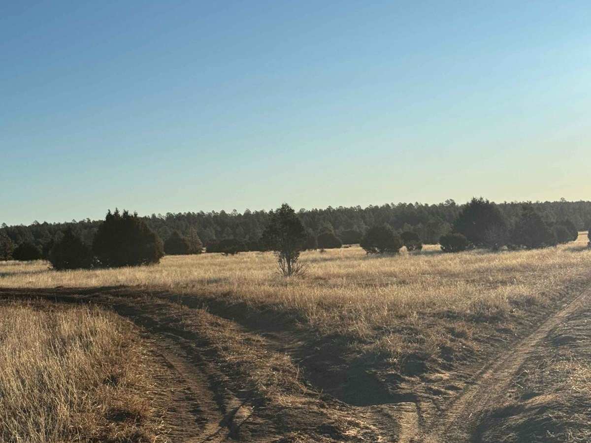 Cattle Run Pass photo 2