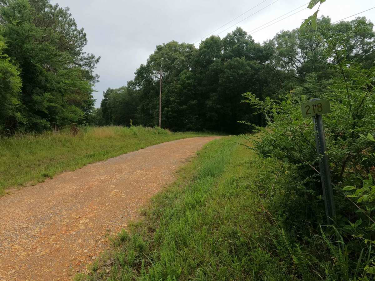 Fox Hollow Hill FSR 218 photo 3