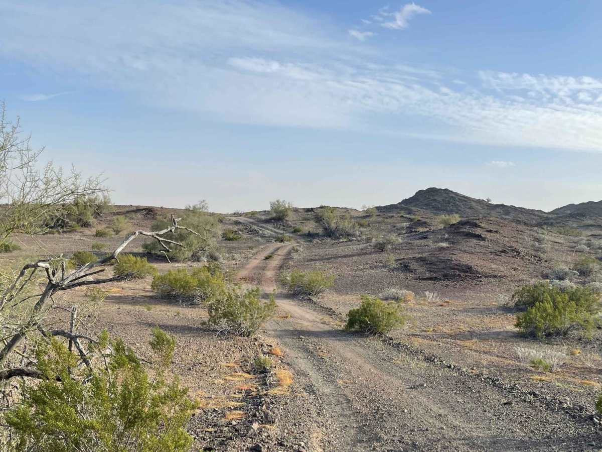 Palomas Flats photo 6