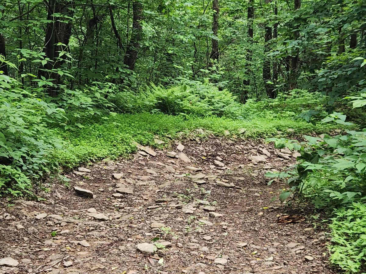 Trail 1A - Rock Run Recreation Area photo 6