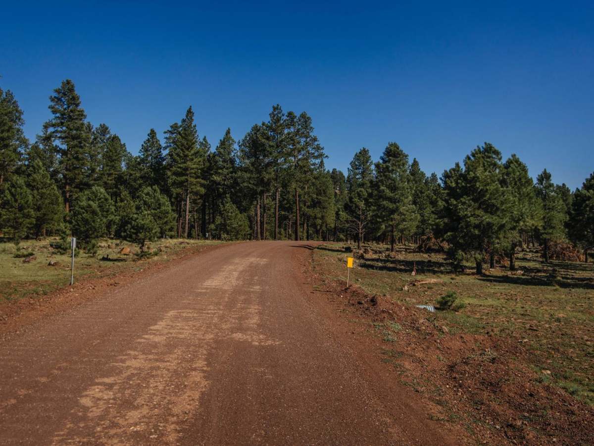 Beale Wagon Road Main photo 5