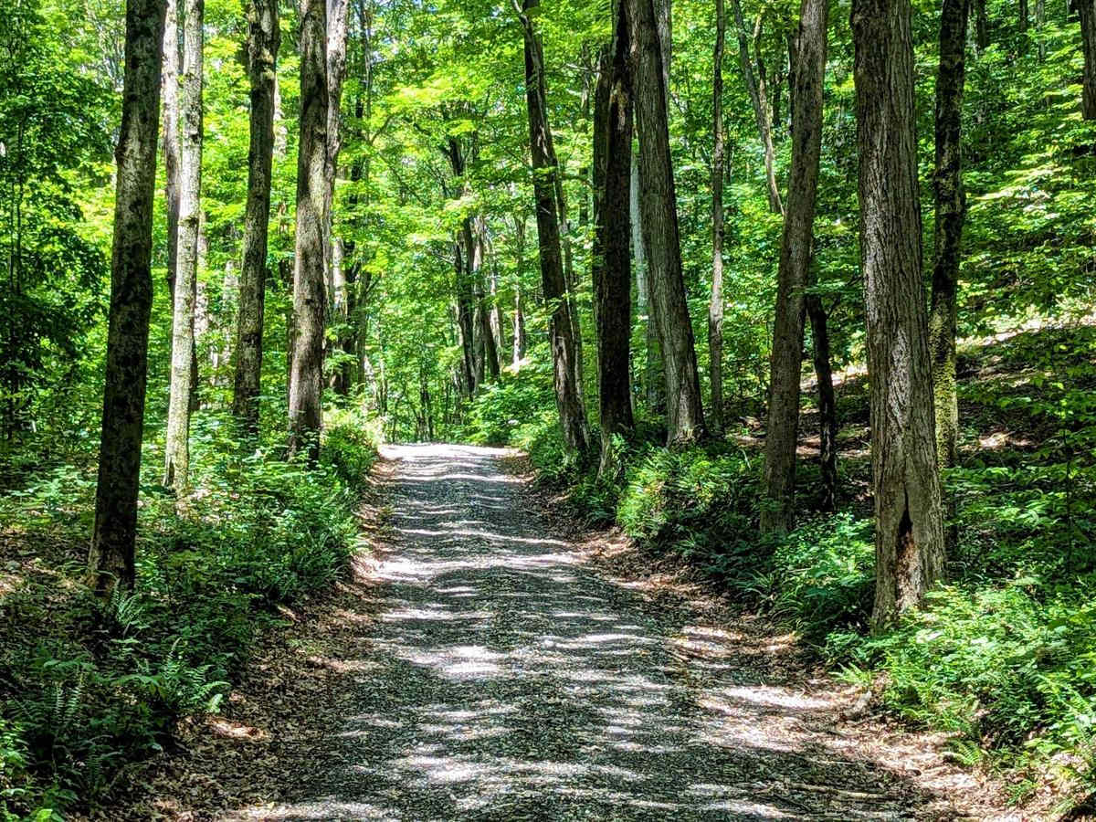 Greylock Road photo 4