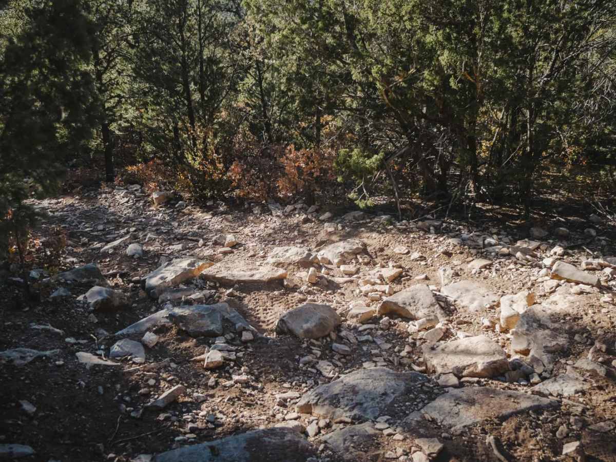 Lower Pine photo 4