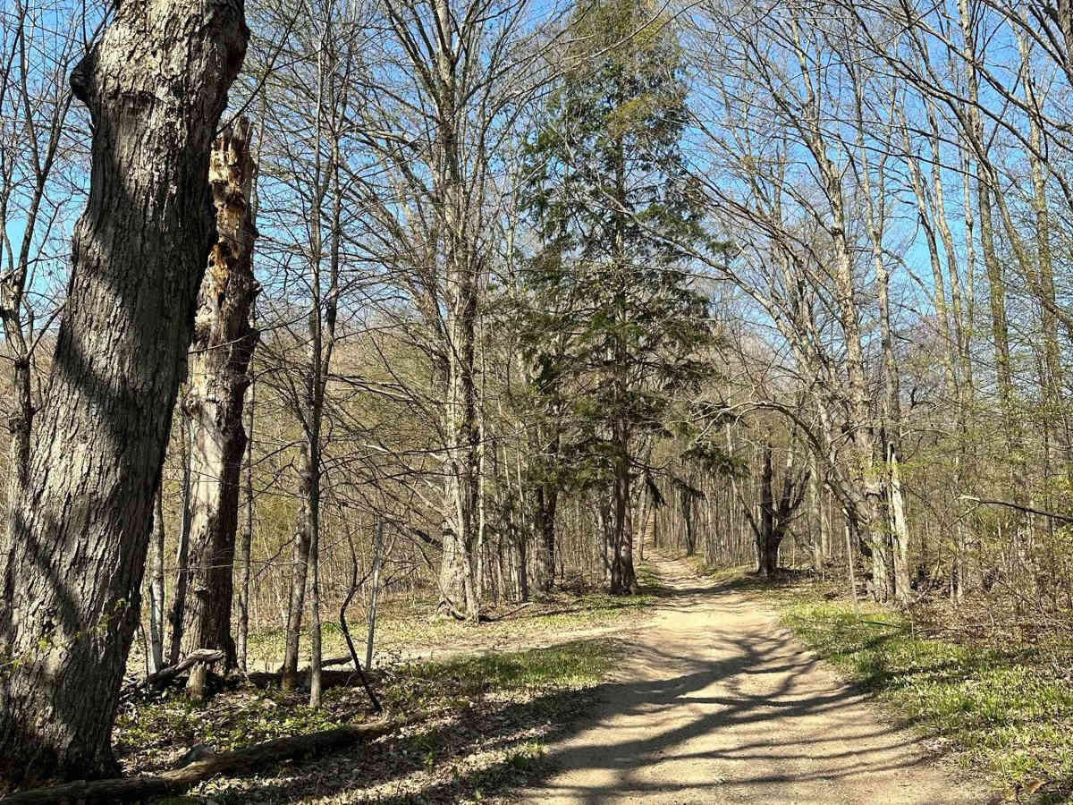Cadillac Area ORV/OHV Scenic Ride - Part 12 photo 5