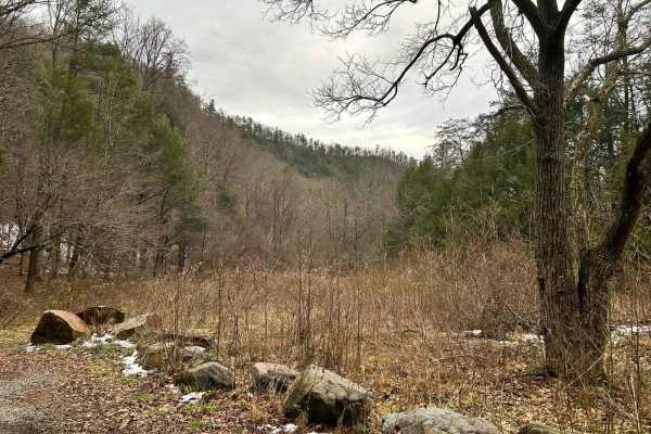 Paint Pond Trail