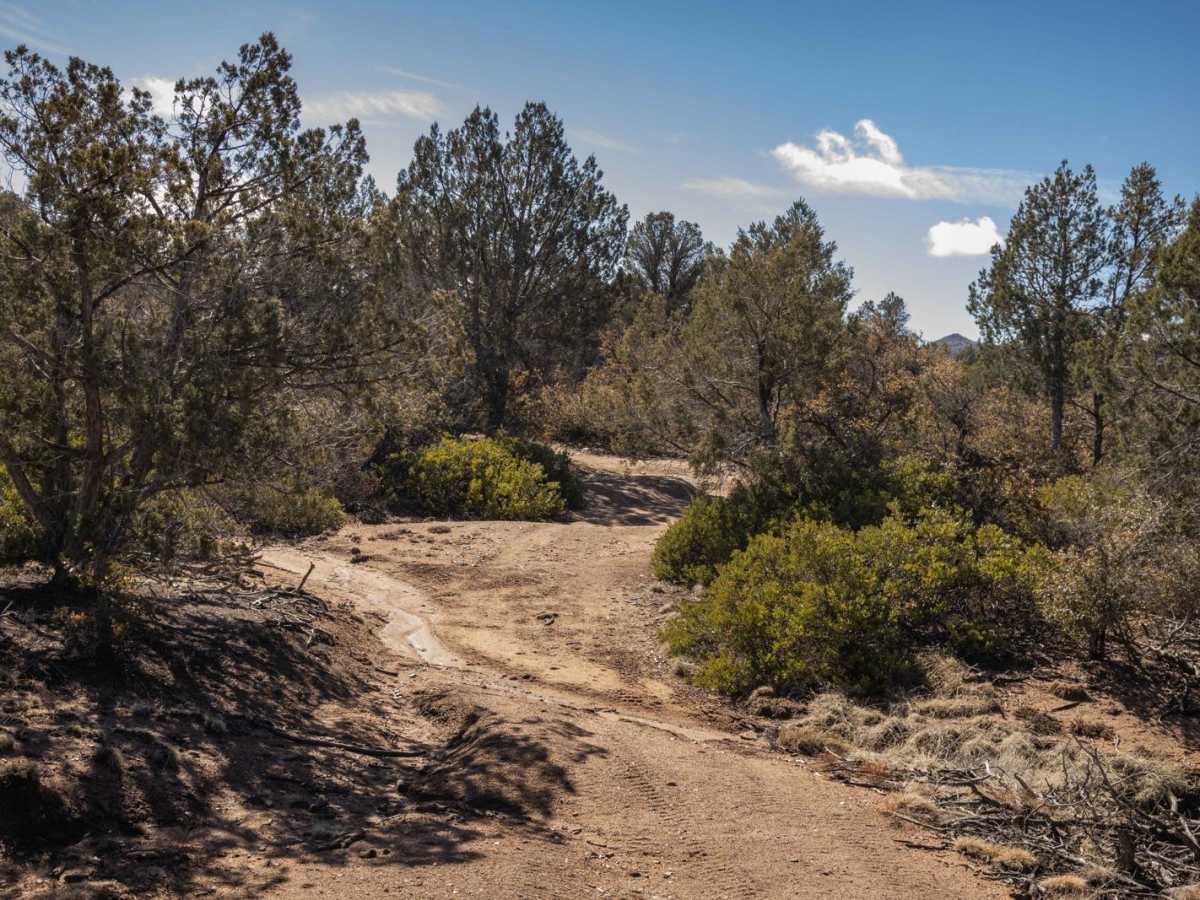 Strickland Wash photo 3