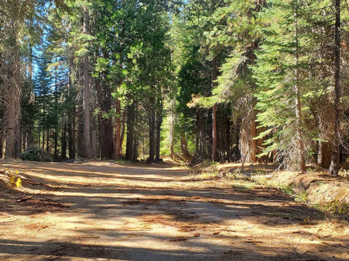 Fulda Ridge -FS19-028 trail photo