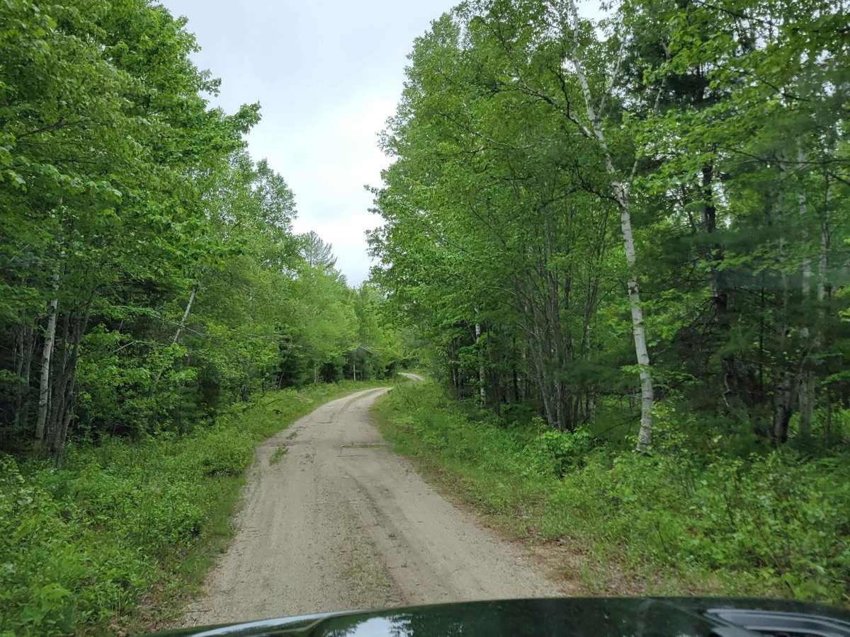Brandy Pond West photo 2