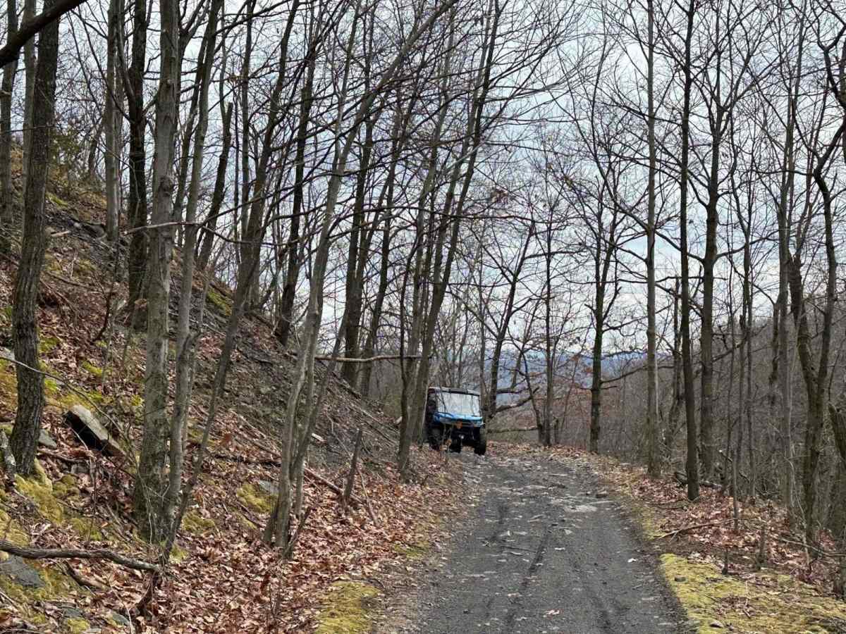 Locust Gap 64 photo 6