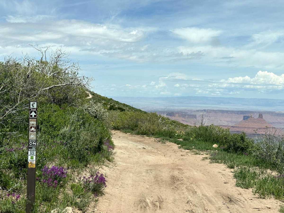 Kokopelli Trail (Castle Valley Overlook to Sand Flats Road) photo 5