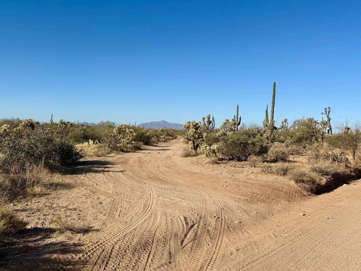 Crescent Trail photo 4