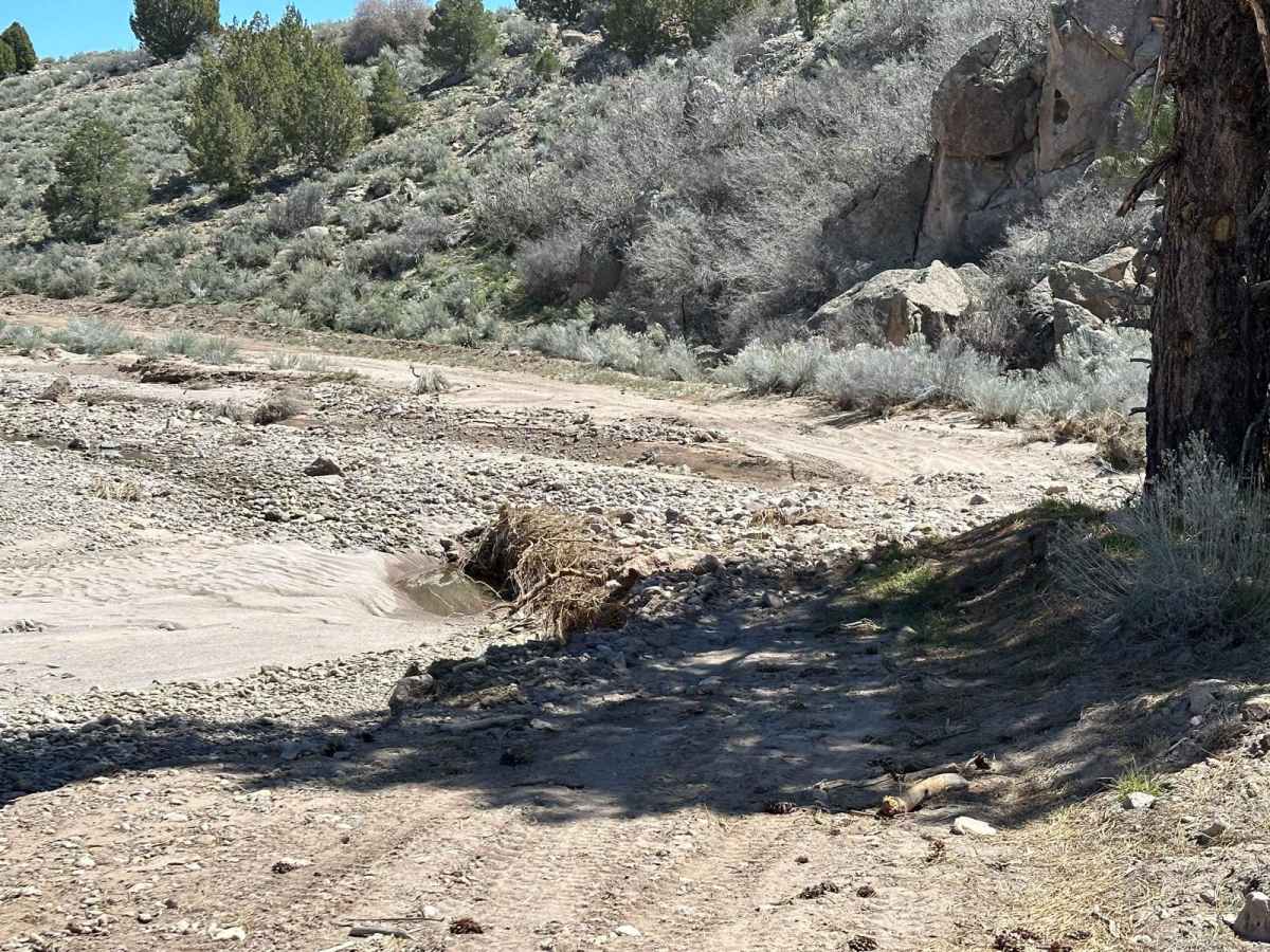 Pine Canyon Dam Road photo 3
