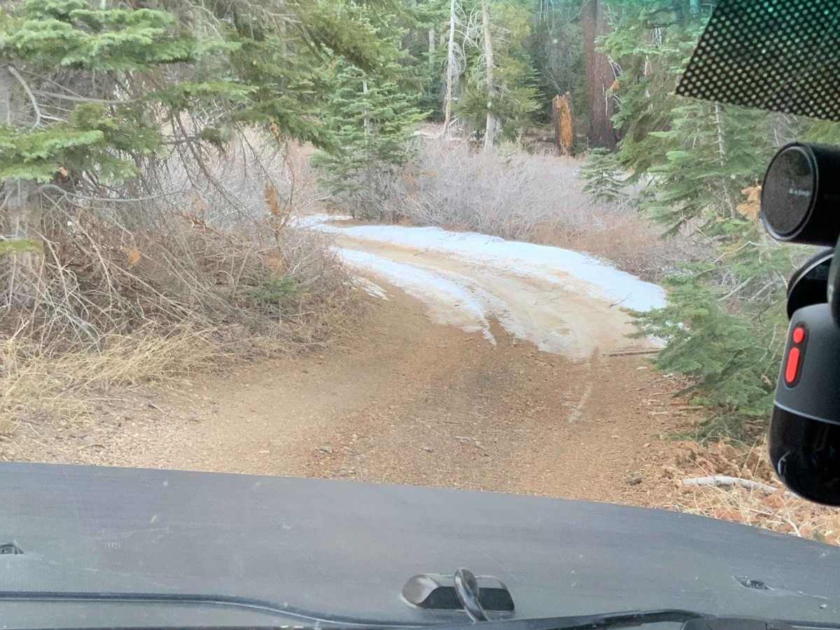 Sherman Pass 4x4 Jeep Trail photo 4