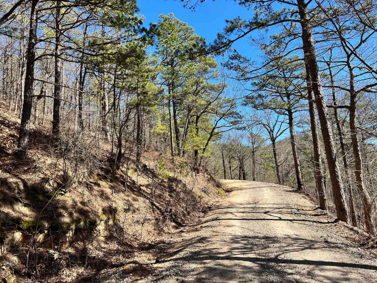 Wolf Pen Gap South Trail Head photo 5