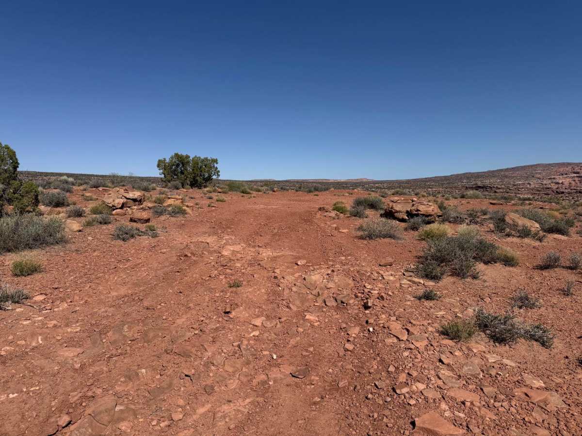 Little Canyon Trail photo 6