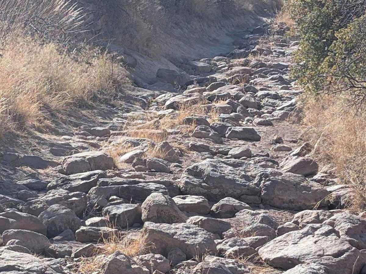 Hackberry Creek photo 6