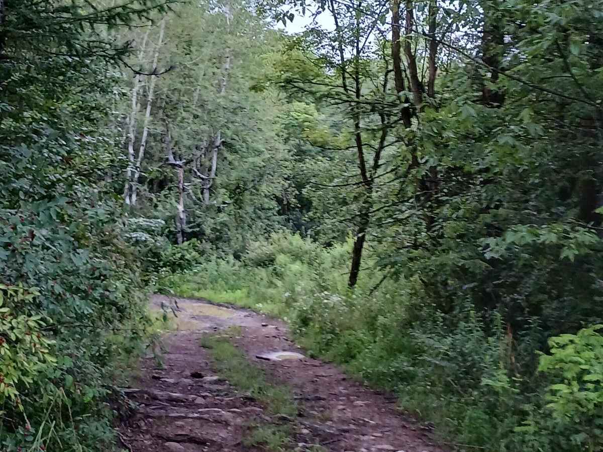 Trail 12I - Rock Run Recreation Area photo 3