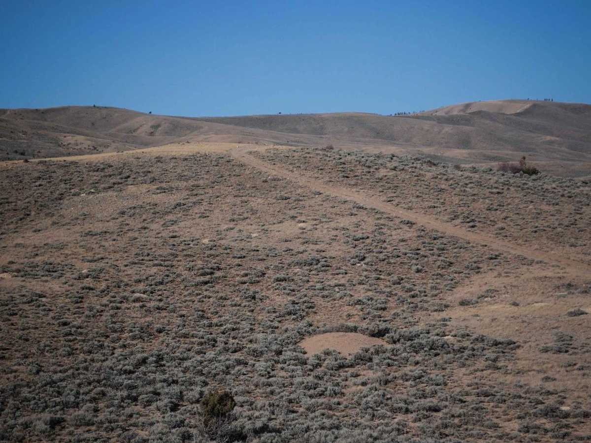 Rim ATV photo 3