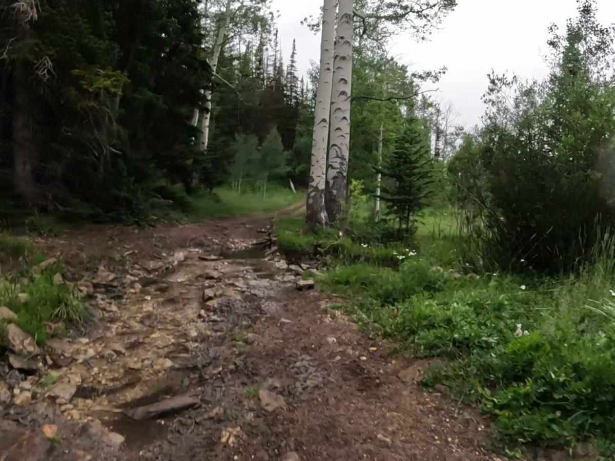 Shoemaker Flat photo 3