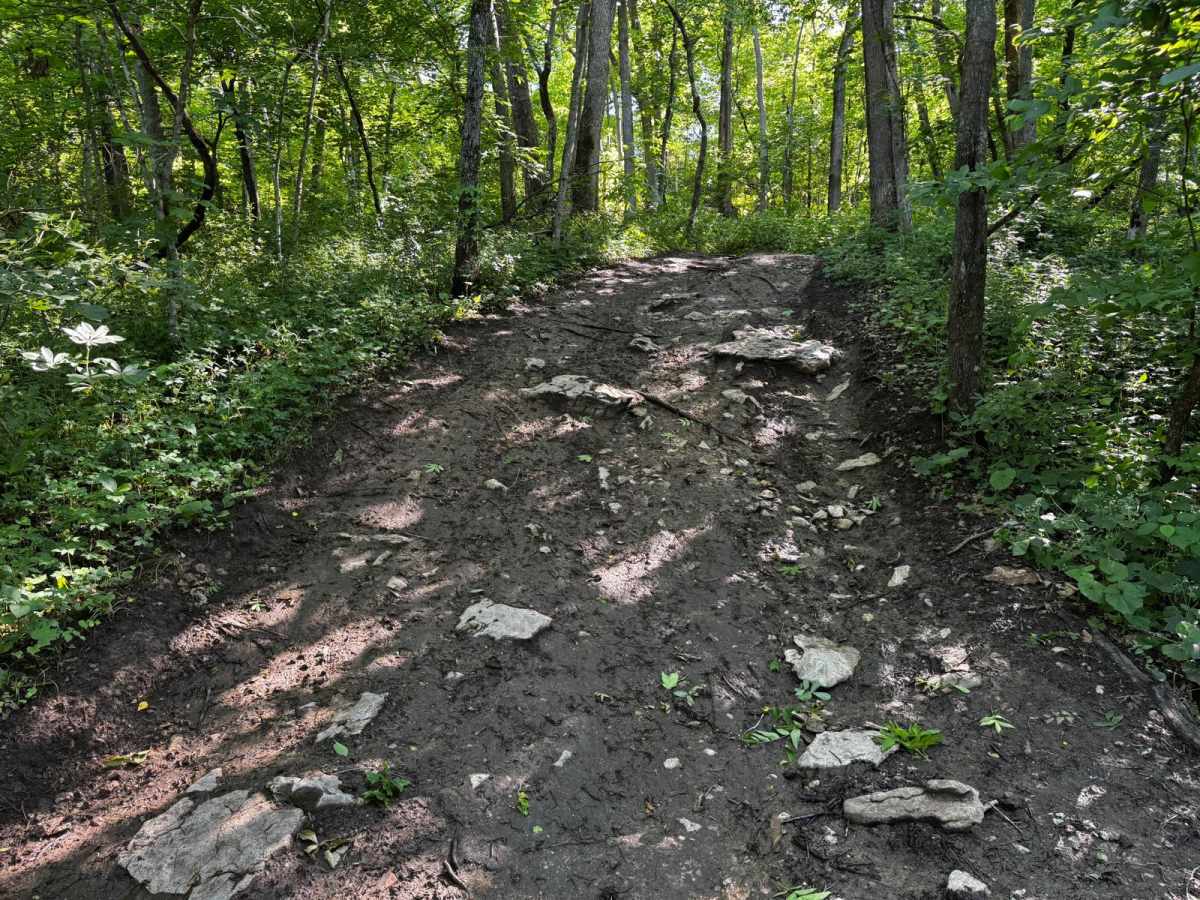 Yellow 212 trail photo