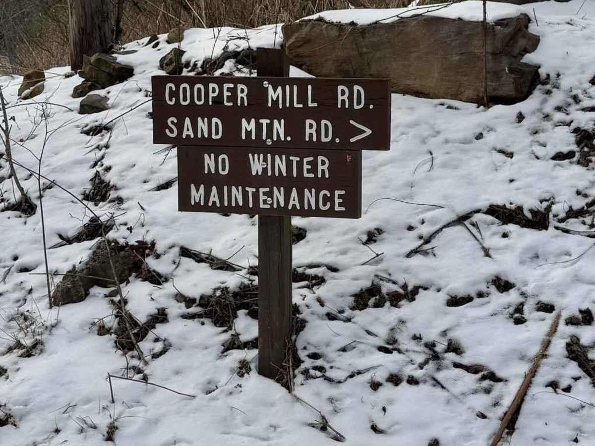 Cooper Mill Road trail photo
