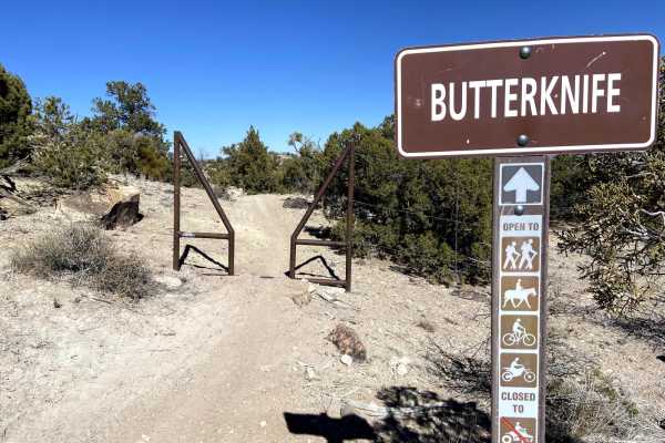 Butterknife
