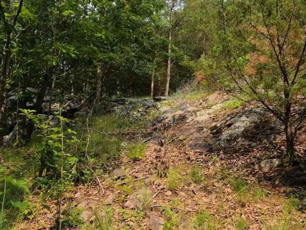 Cedar Bottom FSR 2159 photo 6
