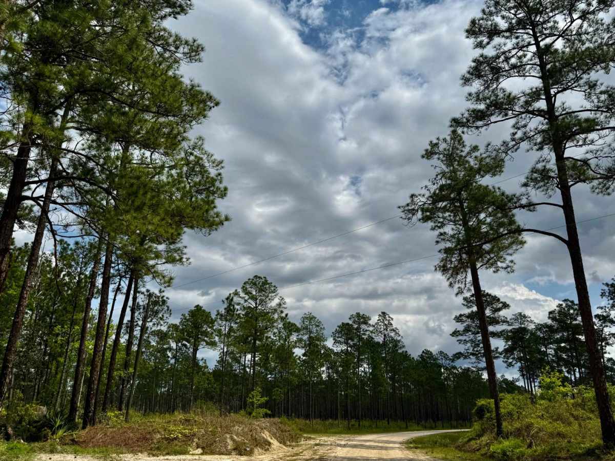 Bloody Bluff Road trail photo