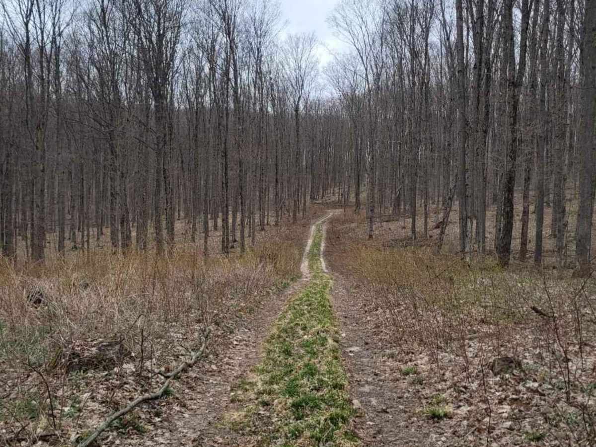 FR 5735 photo 2