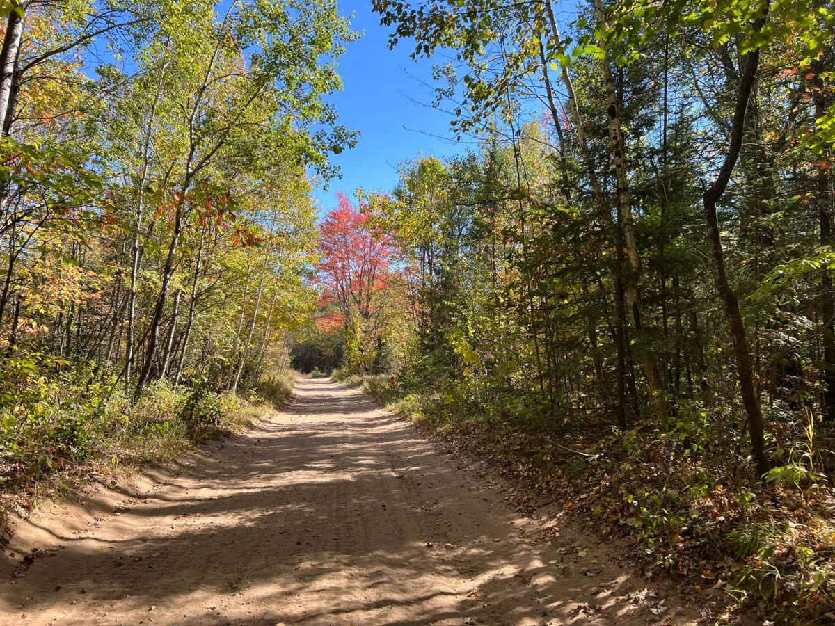 Dungood Trail photo 6