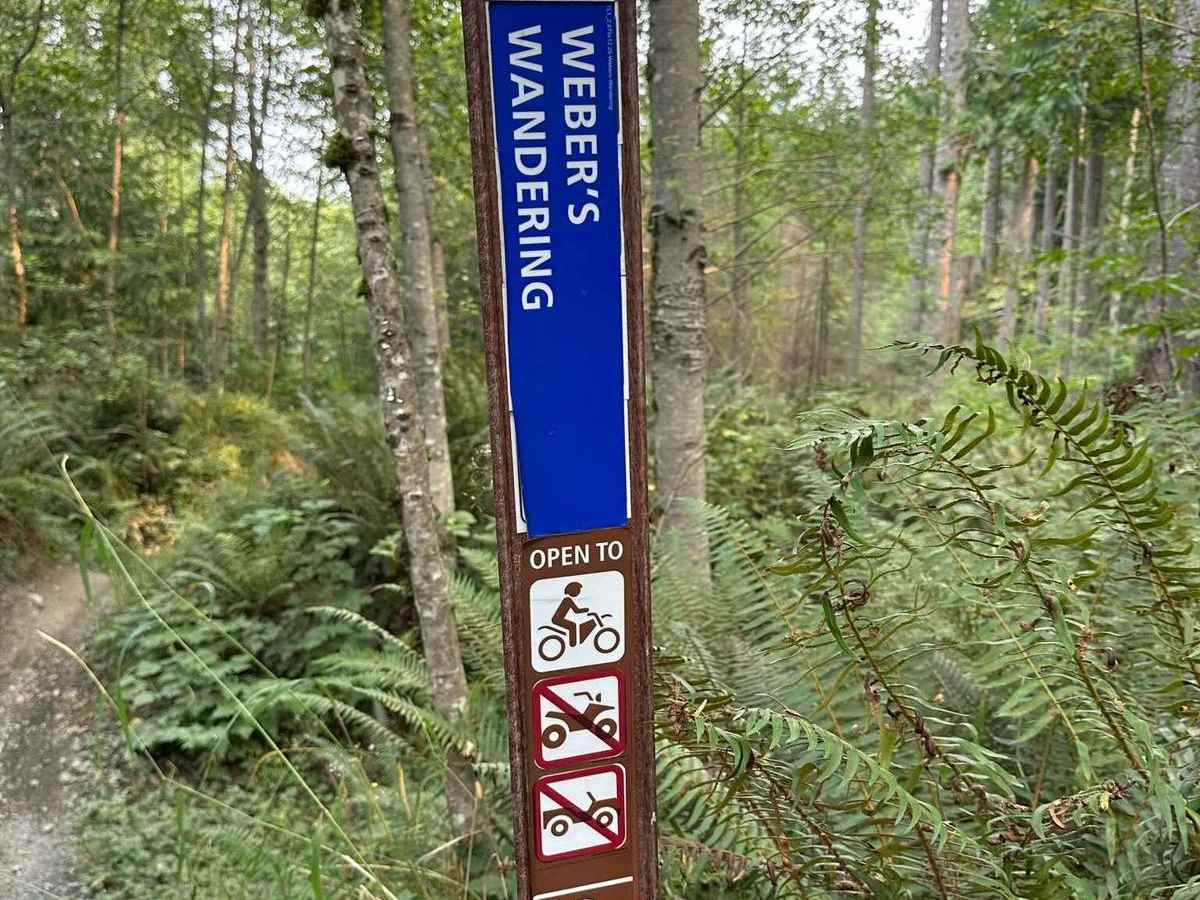 Weber's Wandering photo 3