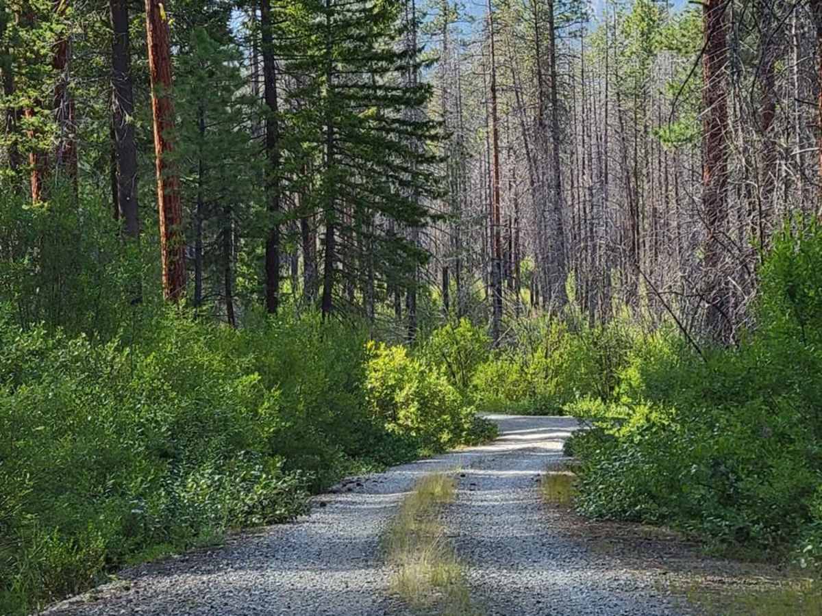 Eagle Creek Trailhead - FR 4420 80 photo 6