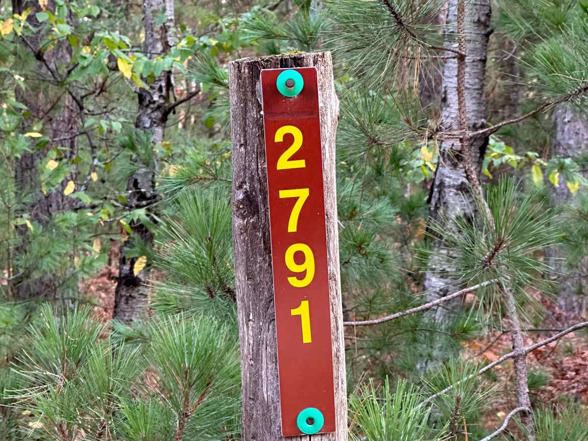 Neighbor Lake - FS 2791 trail photo