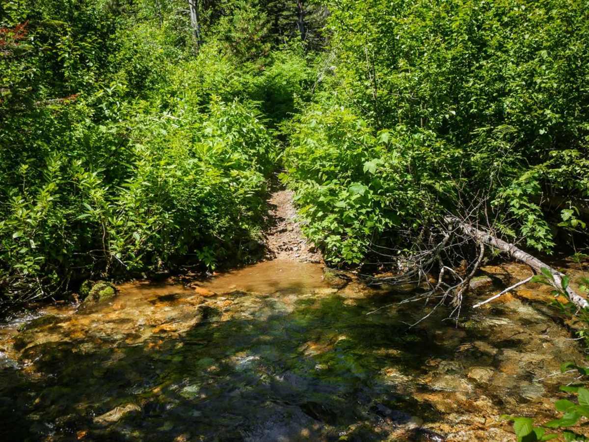 Cedar Creek photo 3