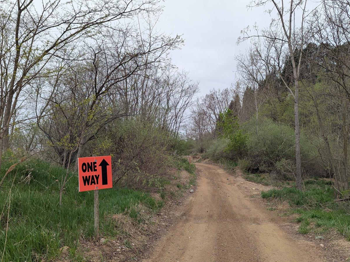 Darlene's Ridge trail photo