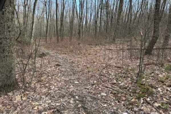 Tower City Single Track 3 - B