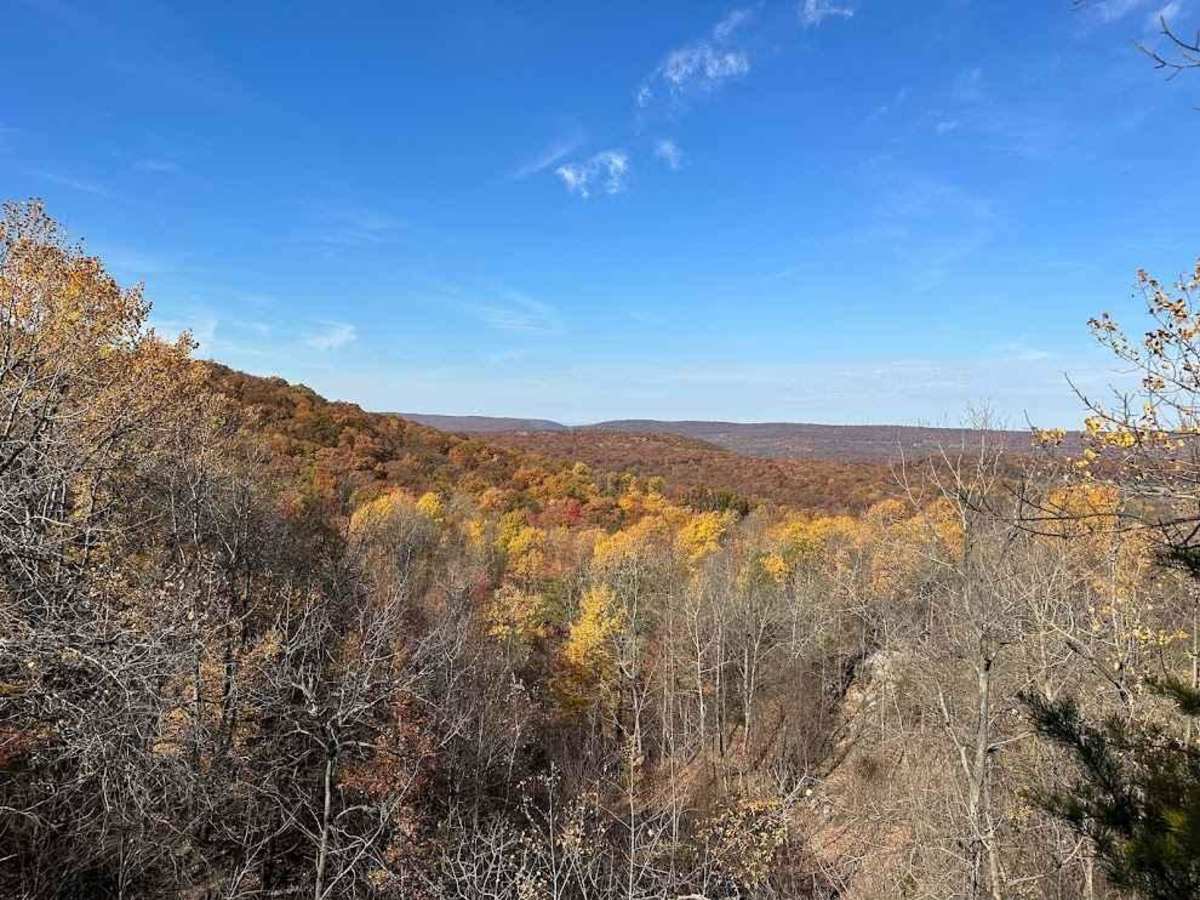 46 trail photo