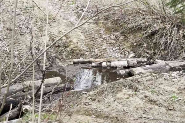 Hobblety Creek Falls