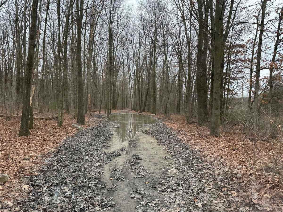 Locust Gap 26 trail photo