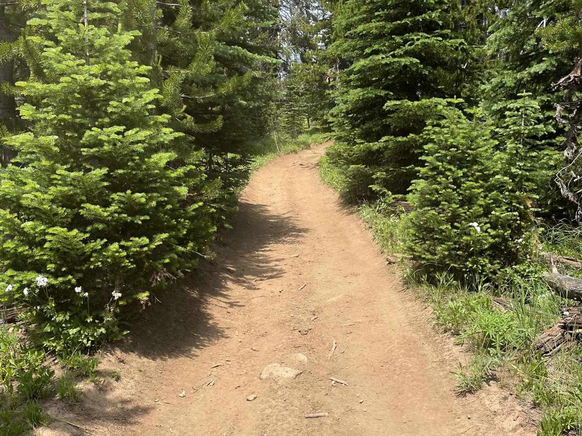 Elk Lake ATV photo 2