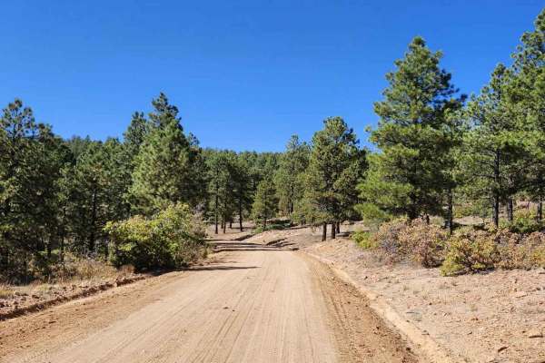Devils Canyon Road