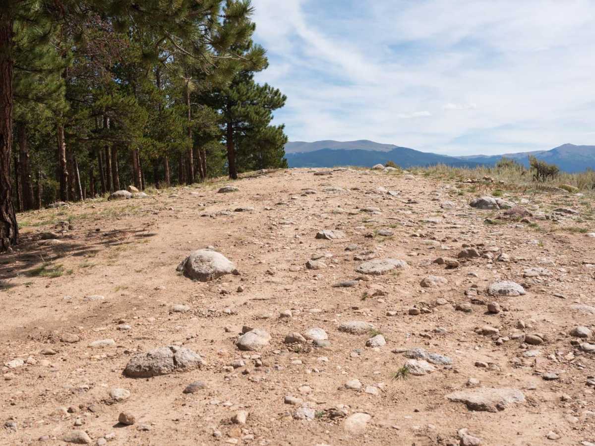 Twin Lakes Dispersed Camping Area - FR 125.D photo 6