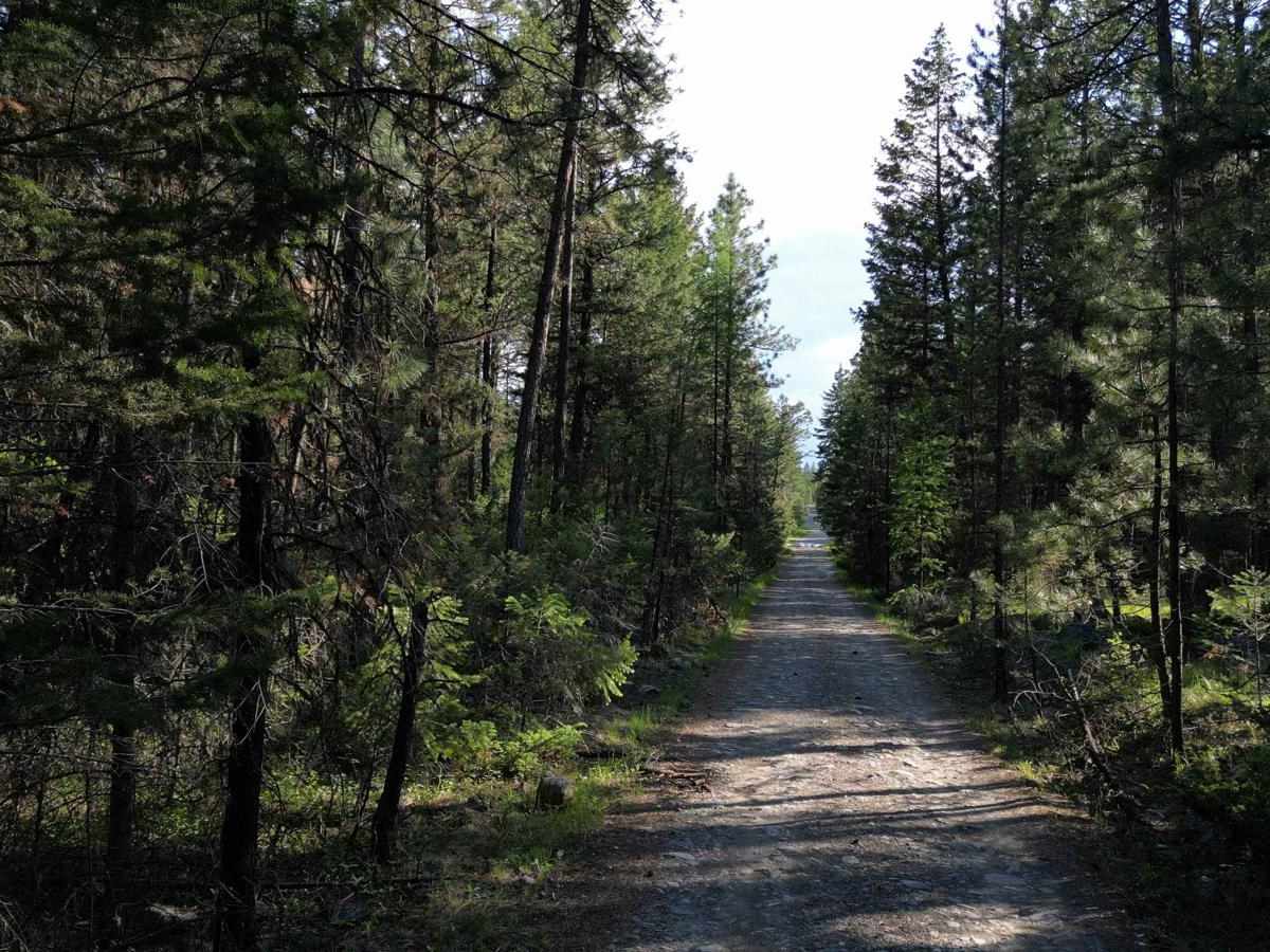 Mount Fisher / Mause Creek photo 6