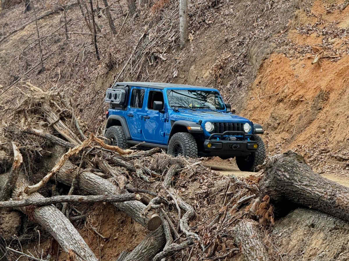 Roses Creek - FS 210 trail photo