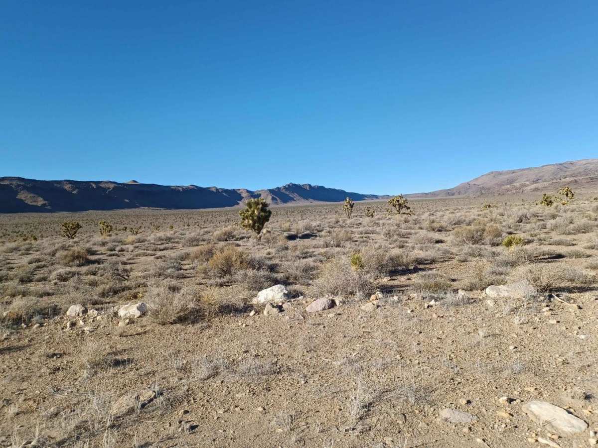 Alamo Canyon Road photo 2