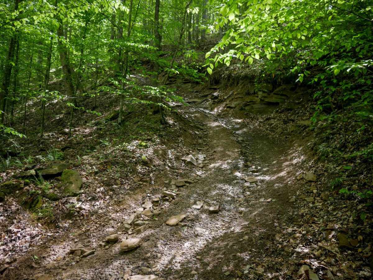 IB 71 trail photo