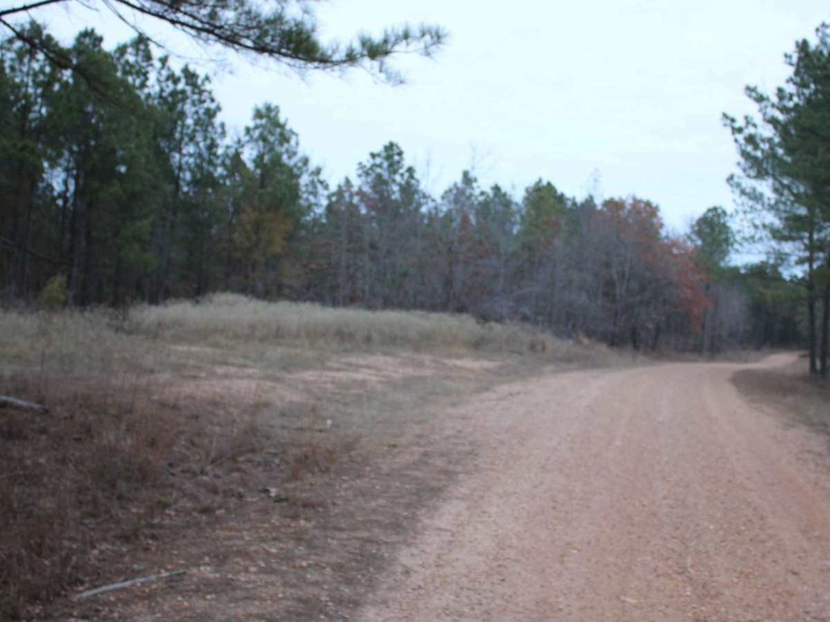 Buck Valley photo 6