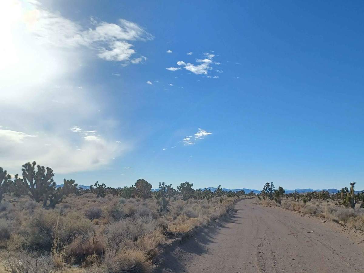 Mackie Reservoir Road trail photo